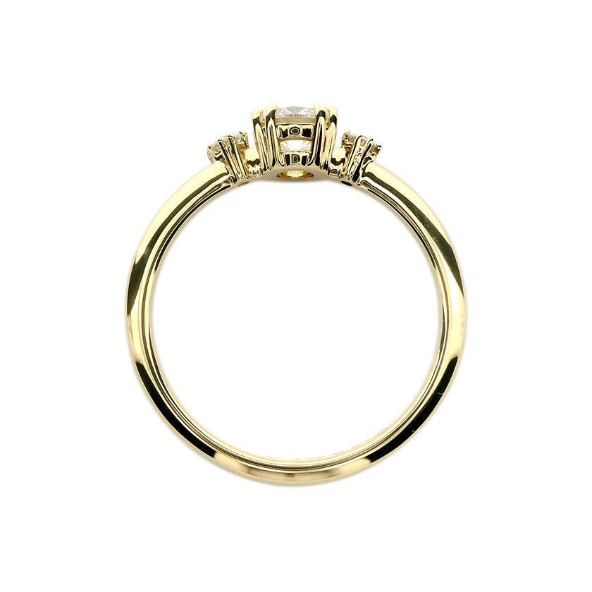 Verlobungsringe Memory – Wenn Liebe Erinnerung wird